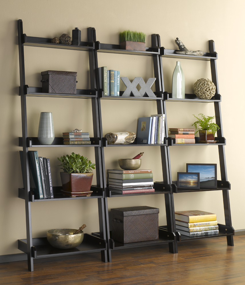 Leaning Shelves : ODONATA Production